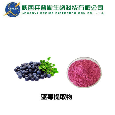 蓝莓提取物 平顶山提取物工厂蓝莓果粉