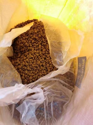 平顶山产品_平顶山宠物猫