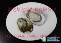 供应平顶山生蚝批发价格_供应平顶山生蚝批发厂家_世界工厂网产品信息库