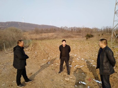 河南省平顶山市国土绿化提速在行动